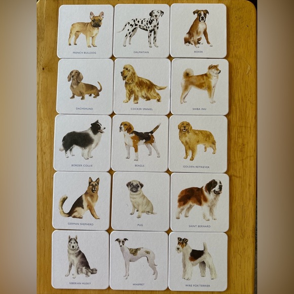 Laurence King Dog Coasters. Set of 16. New in Box - Picture 1 of 12